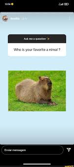 Liinaliiis Ask me a question Who is your favorite a nimal ? be ...